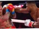 Anthony Joshua Siap Bertarung Melawan Tyson Fury, Apa yang Membuat Petarung Ini Begitu Spesial?
