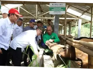 Balai Ternak Baznas Dukung Ketahanan Pangan di Lombok Tengah