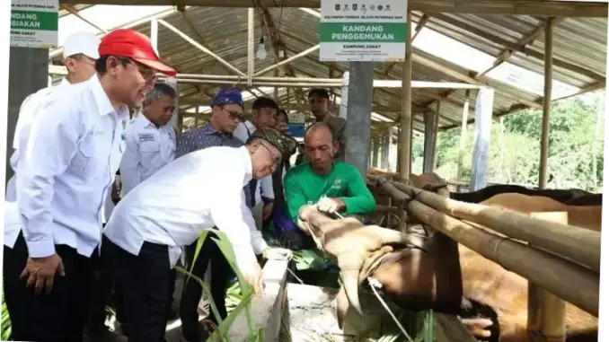 Balai Ternak Baznas Dukung Ketahanan Pangan di Lombok Tengah