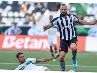 Botafogo Hadapi Coritiba di Liga Brasil: Pertarungan Sengit dan Penuh Tantangan