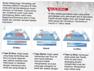 El Niño: Fenomena Alam yang Mengancam Indonesia