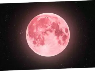 Fenomena Pink Moon: Fenomena Langka yang Muncul di Langit April 2026