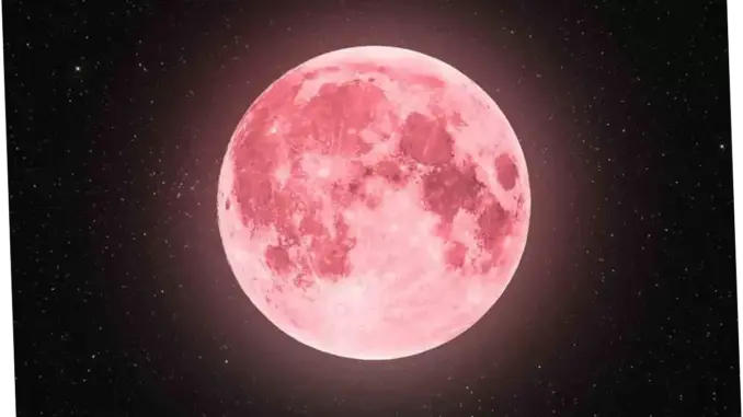 Fenomena Pink Moon: Fenomena Langka yang Muncul di Langit April 2026