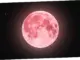Fenomena Pink Moon: Fenomena Langka yang Muncul di Langit April 2026