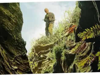 Film Apex di Netflix: Ketegangan Survival di Alam Liar