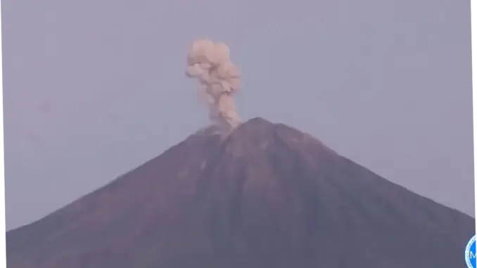 Gunung Semeru Erupsi Sembilan Kali dengan Tinggi Letusan hingga 1.000 Meter
