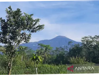 Gunung Slamet Meningkatkan Aktivitas, Masyarakat Diminta Waspada
