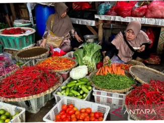 Harga Cabai Rawit dan Telur Ayam di Pasar: Apa yang Mendorong Perubahan Harga?