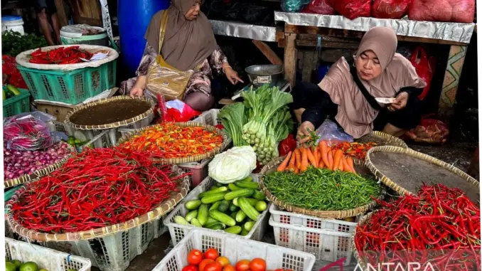 Harga Cabai Rawit dan Telur Ayam di Pasar: Apa yang Mendorong Perubahan Harga?