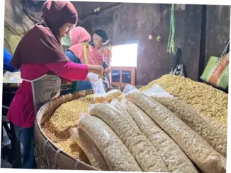 Harga Kedelai Meroket, Perajin Tempe Perkecil Ukuran
