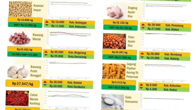 Harga Pangan Strategis di Indonesia: Cabai Rawit dan Telur Ayam Mengalami Perubahan