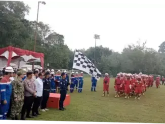 KLH: Tujuh Wilayah Gambut Berisiko Tinggi Karhutla