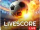 Livescore: Mengikuti Pertandingan Sepak Bola Indonesia dengan Mudah
