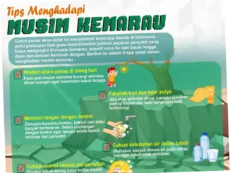 Menghadapi Musim Kemarau: Upaya dan Strategi Pencegahan
