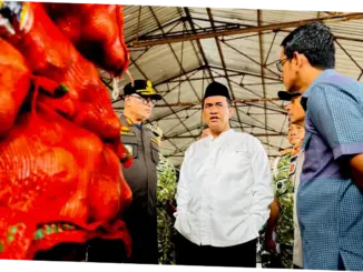 Mentan Minta Kasus Penyelundupan Bawang-Cabai di Kalbar Diungkap