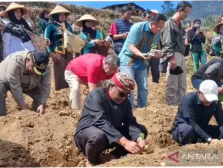 Pemkab Temanggung Gelar Tradisi Wiwit Tanam Tembakau