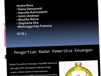 Peran Badan Pemeriksa Keuangan (BPK) dalam Mengawasi Pengelolaan Keuangan Negara