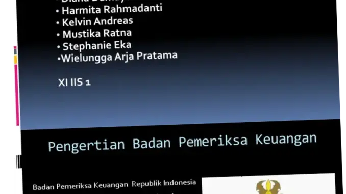 Peran Badan Pemeriksa Keuangan (BPK) dalam Mengawasi Pengelolaan Keuangan Negara