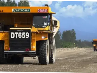 Petrosea Melakukan Ekspansi ke Tambang Emas Papua Nugini