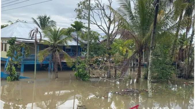 Ratusan Rumah di Kota Bengkulu Terendam Banjir Akibat Hujan Deras