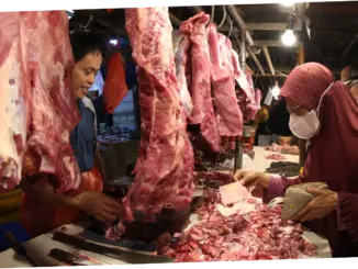 Stok Daging Sapi Aman Saat Idul Adha