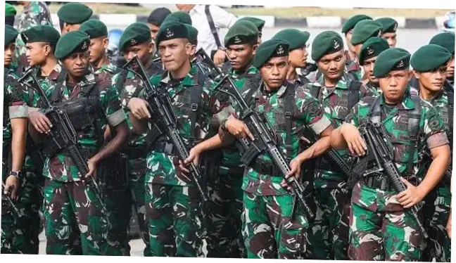 Tentara Nasional Indonesia Angkatan Darat: Kepemimpinan dan Adaptasi