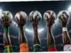 Tim Afrika yang Berpotensi Mengejutkan di Demam Bola 2026