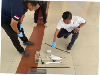 Tragedi Siswa SMP di Siak: Detik-detik Kematian dan Upaya Pemerintah