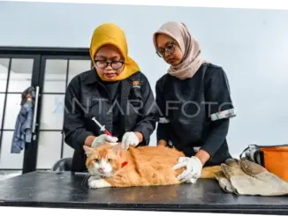 Vaksinasi Hewan Penular Rabies di Jakarta Barat