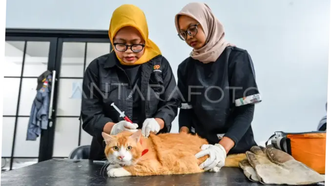 Vaksinasi Hewan Penular Rabies di Jakarta Barat
