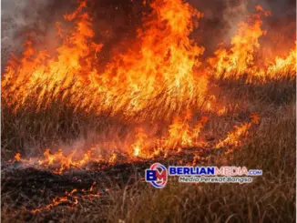 Waspada Kebakaran Hutan, Polda Jateng Ajak Masyarakat Tingkatkan Kepedulian Lingkungan