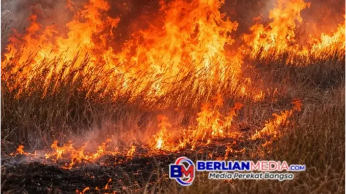Waspada Kebakaran Hutan, Polda Jateng Ajak Masyarakat Tingkatkan Kepedulian Lingkungan