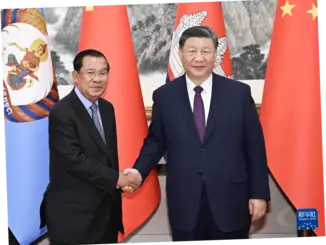 Xi Jinping Adakan Pembicaraan dengan Presiden Mozambik