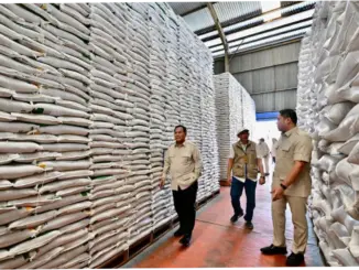 Akademisi: Stok Beras Nasional Valid