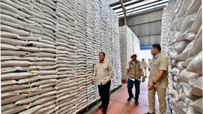 Akademisi: Stok Beras Nasional Valid