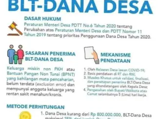 Bantuan Langsung Tunai (BLT) di Indonesia: Manfaat dan Implementasi