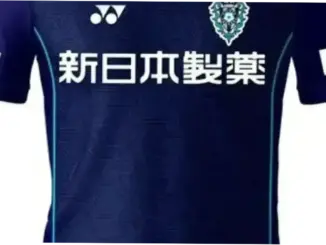 Fagiano Okayama: Perjalanan Menuju Puncak J1 League