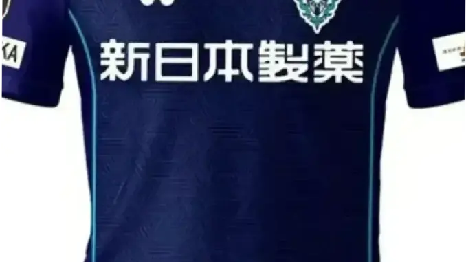 Fagiano Okayama: Perjalanan Menuju Puncak J1 League