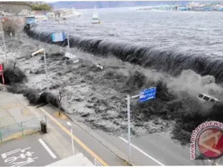 Gempa Kuat di Honshu Jepang Tak Sebabkan Korban Jiwa