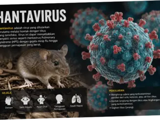 Hantavirus: Ancaman Baru bagi Kesehatan Masyarakat