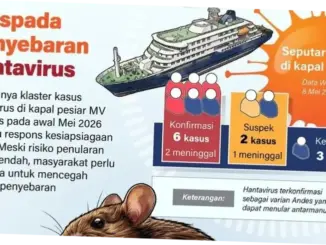 Hantavirus di Kapal Pesiar: Risiko, Penyebab, dan Langkah Evakuasi