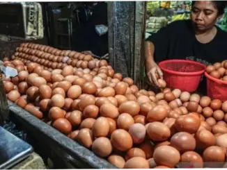 Harga Pangan Strategis: Telur Ayam dan Bawang Merah Mengalami Perubahan