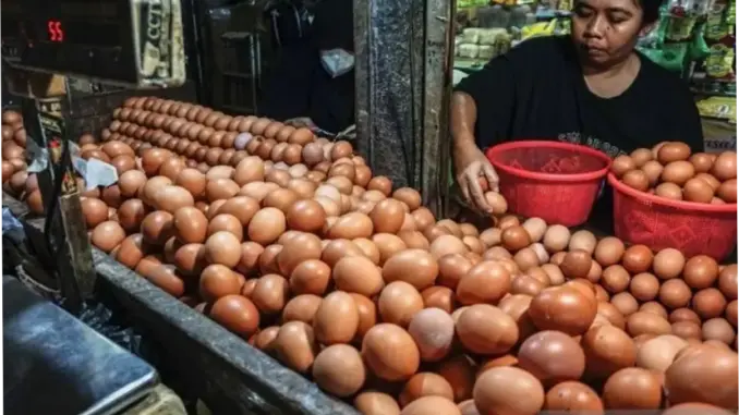 Harga Pangan Strategis: Telur Ayam dan Bawang Merah Mengalami Perubahan