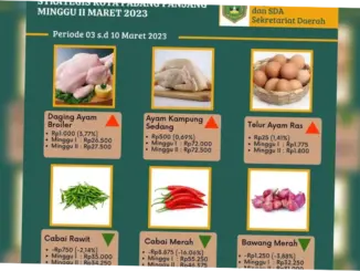 Harga Telur dan Bawang di Indonesia: Apa yang Dicatat oleh PIHPS?