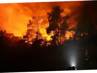 Kebakaran Hutan di Jepang Terus Meluas, 3.000 Orang Dievakuasi