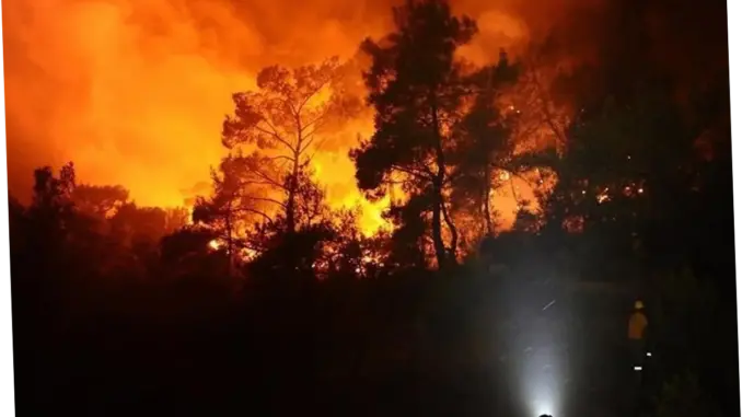Kebakaran Hutan di Jepang Terus Meluas, 3.000 Orang Dievakuasi