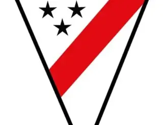 Kompetisi Copa Sudamericana: Pertarungan Sengit di Sepak Bola Amerika Selatan