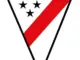 Kompetisi Copa Sudamericana: Pertarungan Sengit di Sepak Bola Amerika Selatan