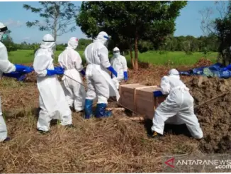Mensos Sebut Tagana Garda Terdepan Penanganan Bencana, Apresiasi untuk Relawan