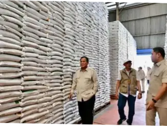 Pembangunan Infrastruktur Pascapanen: 100 Titik Sudah Rampung Ditetapkan